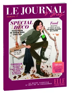 Le Journal D'Ines #3