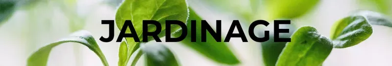 Jardinage