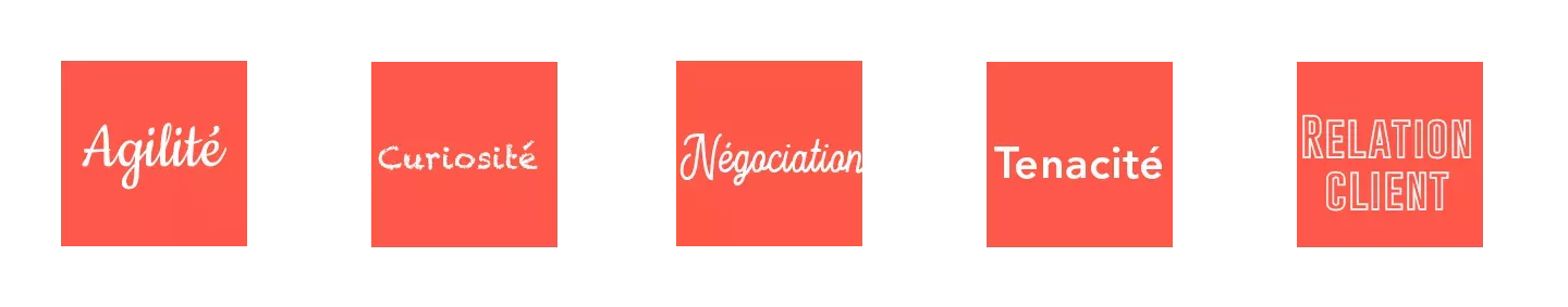 Métiers - Directeur de Clientèle - Qualités